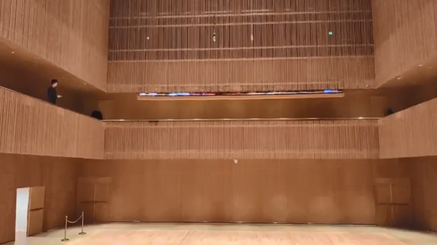 Shanghai Music Symphony Hall P3.9 Lifting Led Screen